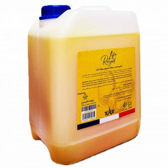 royal-life-shampoo-egg-5-litr