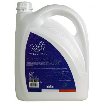 royall-life dishwash blackberry 4 litr